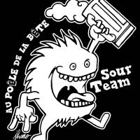 Au poêle de la bête secteur saint aubin Toulouse 